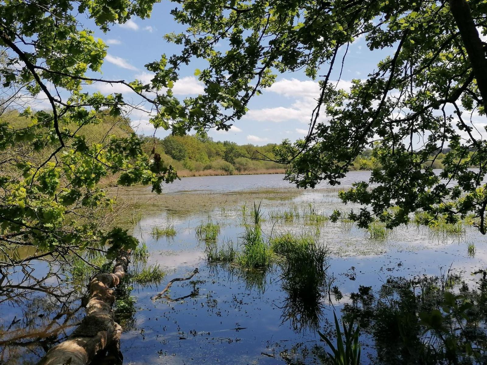 Ma Sologne,Zoo Beauval,Chateaux De La Loire,Golf Sassay 外观 照片